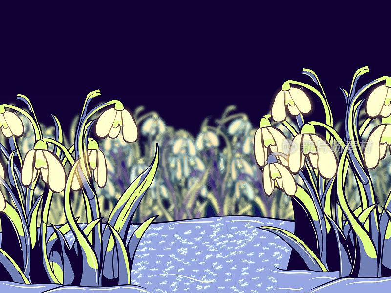 手绘横幅插图-雪花莲在晚上。