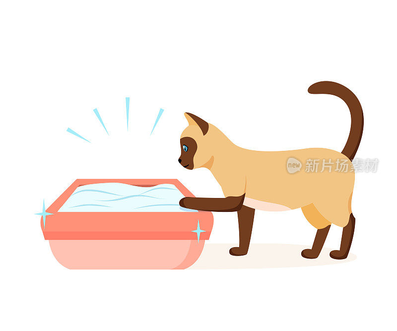 暹罗猫用干净的猫砂盒。维护猫咪厕所的正确方法。宠物厕所卫生概念。矢量图