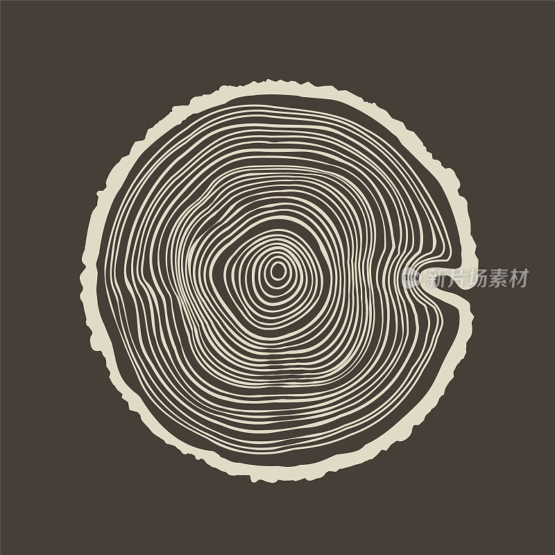 圆树干切割，锯松或橡木片。锯子砍木头，木头。棕色木质纹理，带有树的年轮。手绘草图。矢量图