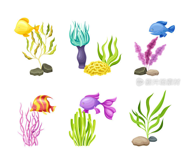 水底设置海藻、藻类和小鱼。海洋水下生命矢量插图