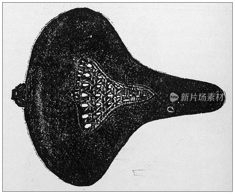 1897年的运动和消遣:骑自行车，梅辛格马鞍