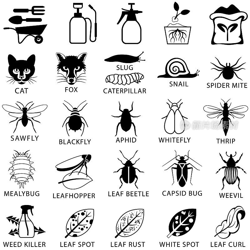 花园害虫和植物疾病治疗图标