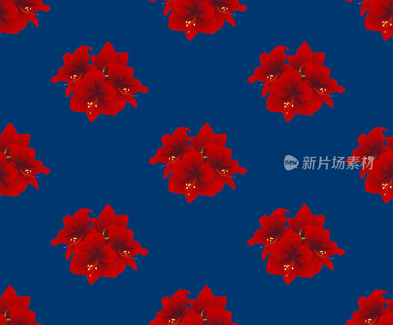 靛蓝色背景上的红色孤挺花
