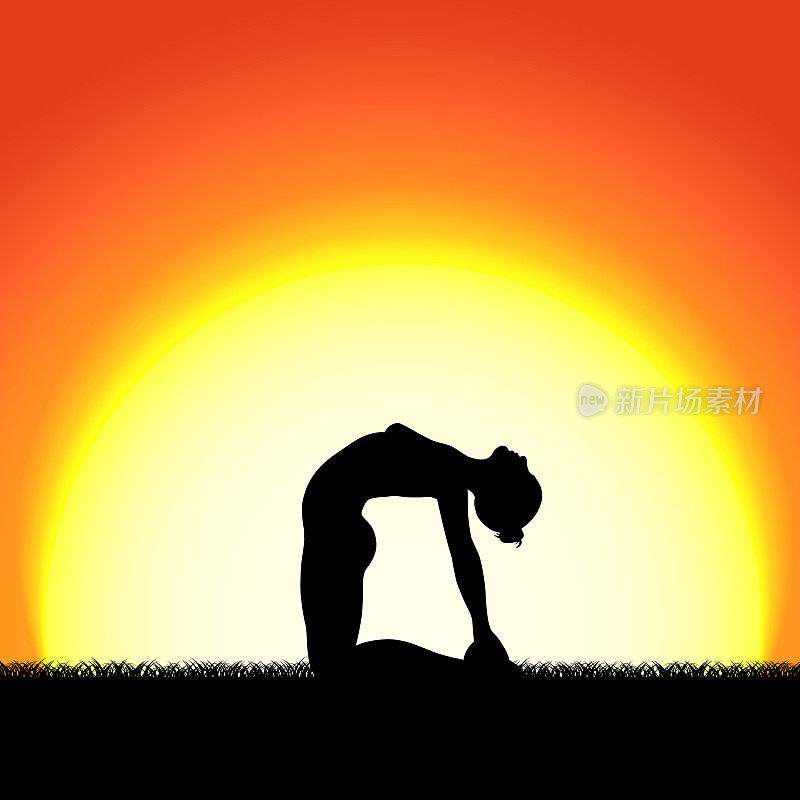 瑜伽ustrasana在日落背景上摆出黑色剪影。日出，黎明，女人在大自然中冥想。