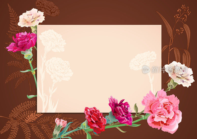 水平的框架，卡片母亲节与康乃馨schabaud:红色，粉红色，白色的花，绿色的树枝(蕨类，桉树)，棕色的背景，手绘，复古植物插图，矢量