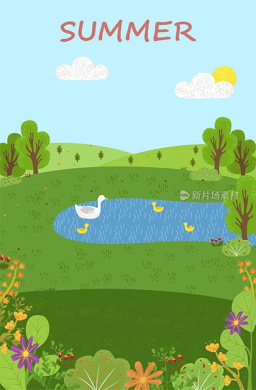 夏日美景，池塘天鹅，绿色生态清洁