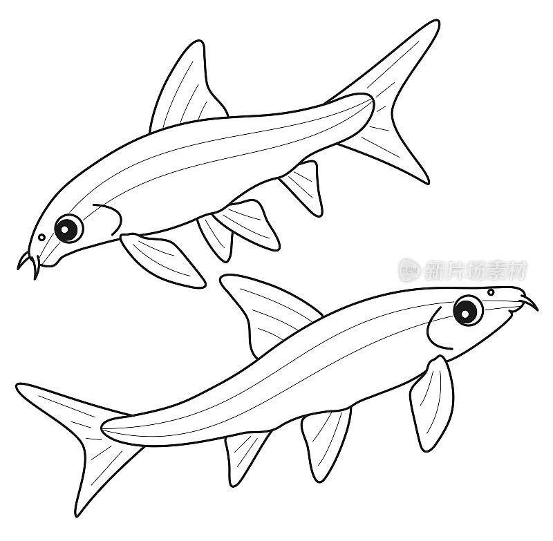 吃鱼的Hedro和苔藓Saiami的飞狐人物插图吃苔藓的鱼交叉嘴Oblongus人物插图