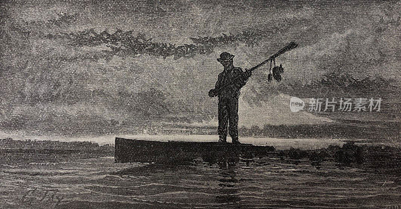古董插图-男子站在低平底船捡起鸭子诱饵离开水