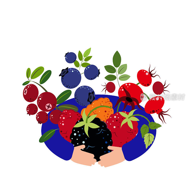 蔓越莓，蓝莓，玫瑰果，黑莓，覆盆子，黄覆盆子，浆果收获。满手的浆果。平面风格矢量插图。