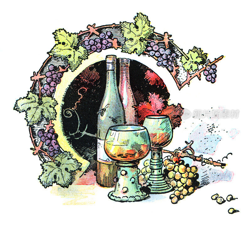 设计元素装饰葡萄酒葡萄叶和酒瓶1896