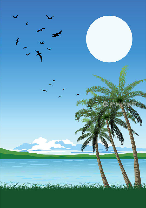 夏季热带日落与棕榈树。