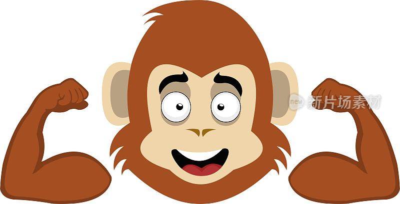 矢量插图面对猴子或大猩猩卡通二头肌