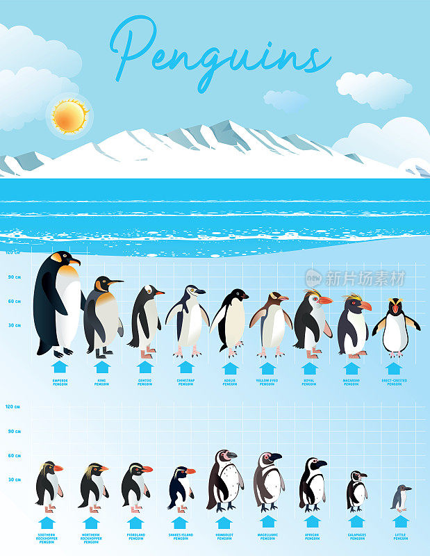 企鹅和南极洲