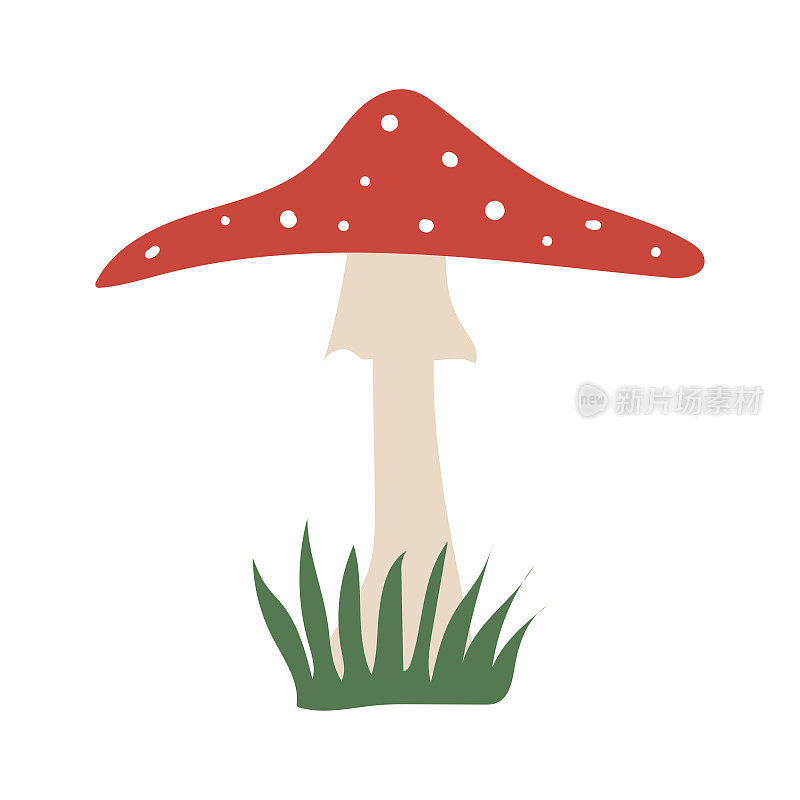 白色背景上的苍蝇木耳蘑菇的插图
