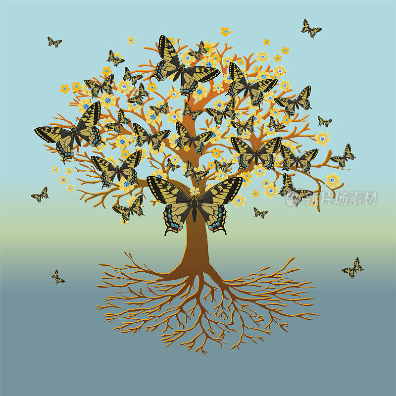 燕尾蝶的生命之树