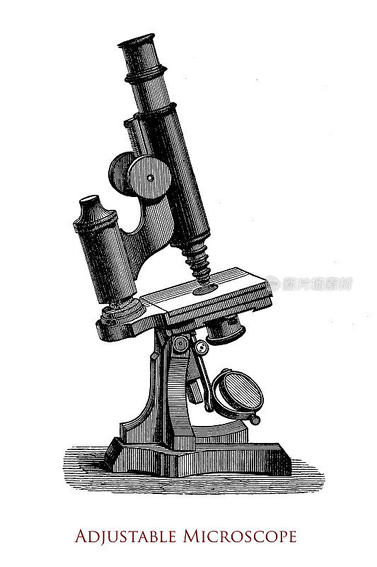 19世纪复合显微镜，可通过附在标本架上的螺旋针调节