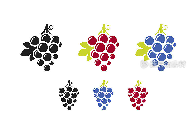 红葡萄和蓝葡萄。新鲜水果与树叶图标设置