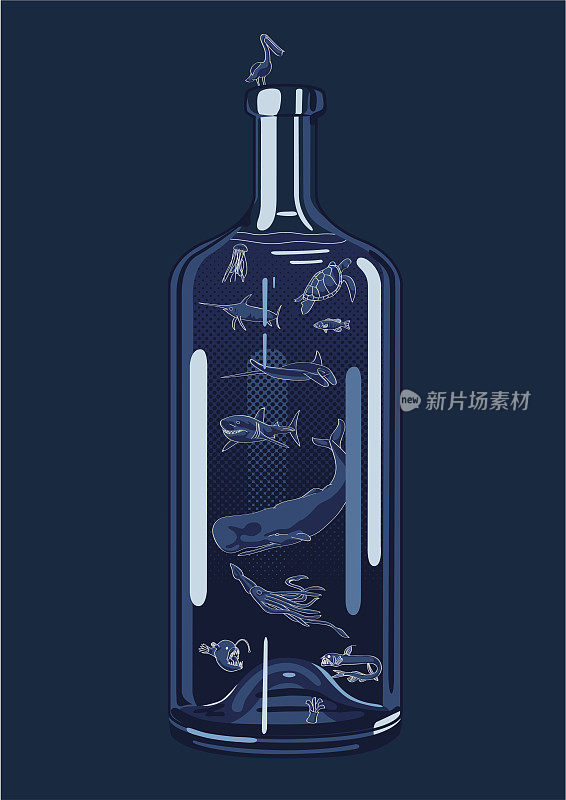 瓶子里的海洋