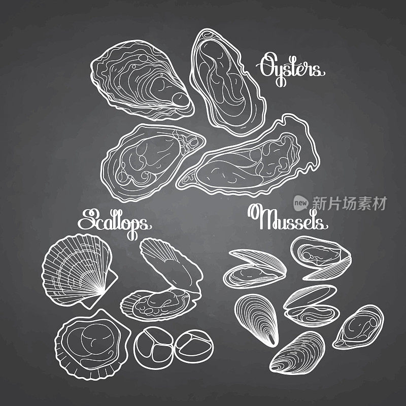图形矢量贻贝，牡蛎和扇贝