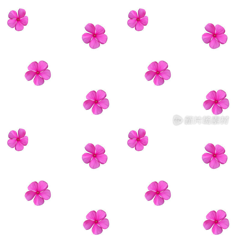 色彩斑斓，美丽自然的粉红色花朵。无缝模式。V
