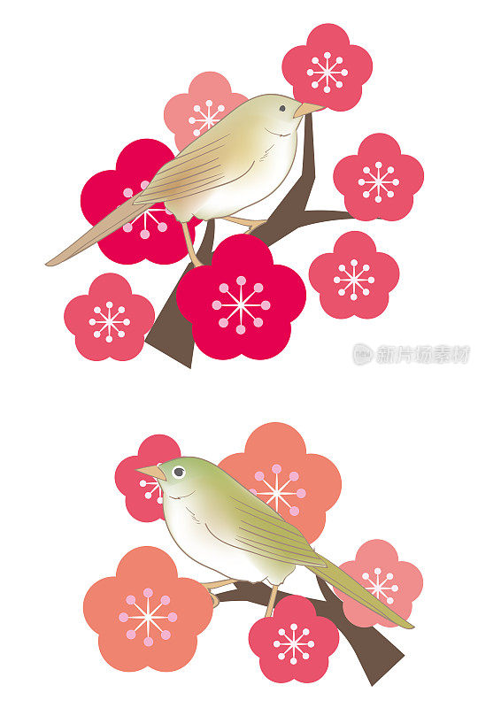 梅树上的日本夜莺和白眼