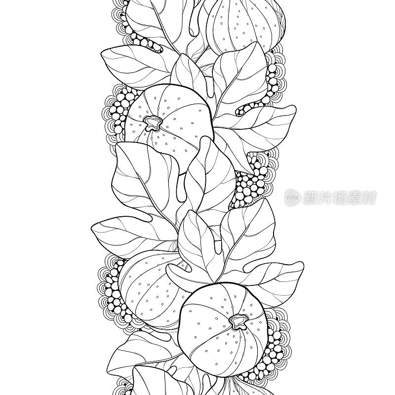 矢量无缝模式与轮廓普通无花果或无花果果实和叶在黑色的白色背景。