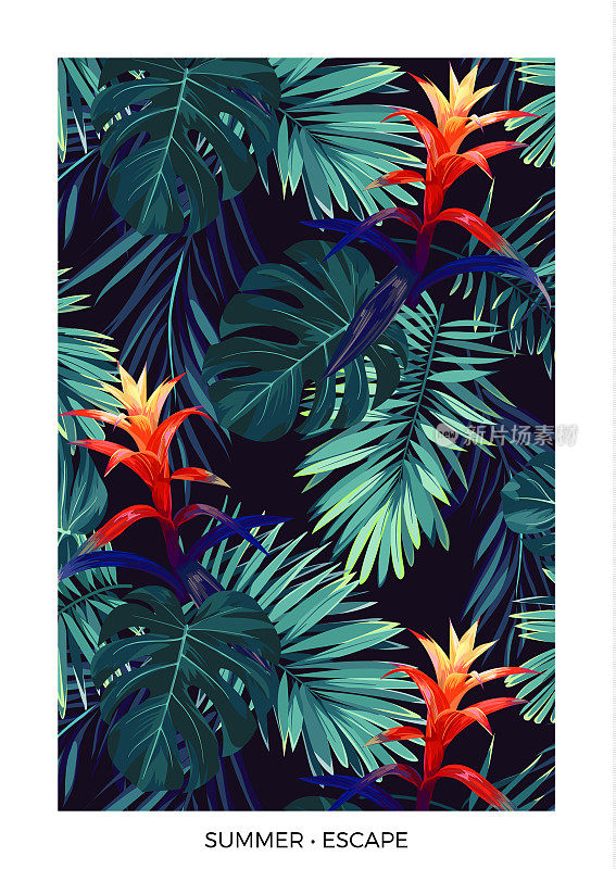 花垂直明信片设计与古兹曼花，怪兽和皇家棕榈叶。充满异域风情的夏威夷背景