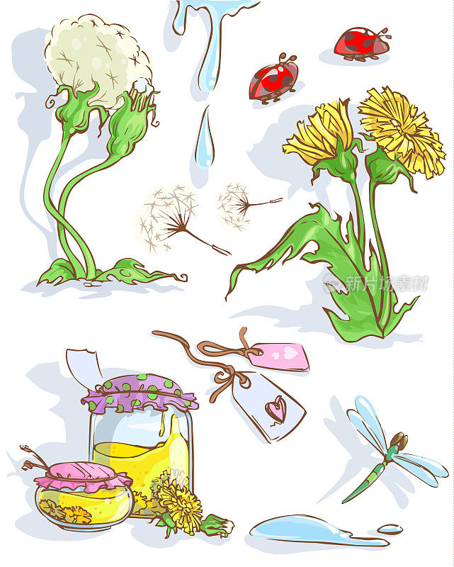 矢量蒲公英与蜻蜓，蒲公英果酱，瓢虫和标签在复古风格。
