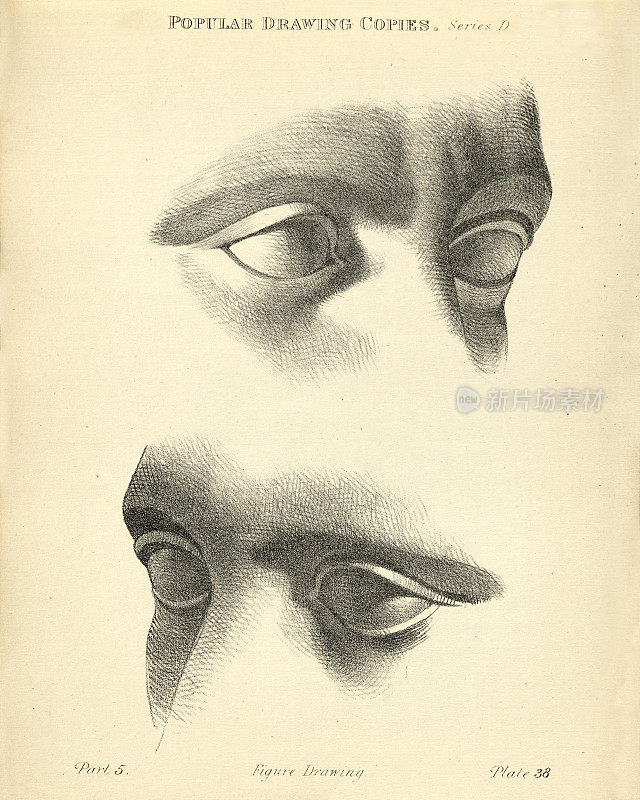 画眼睛和眉毛，维多利亚流行的人物画副本19世纪