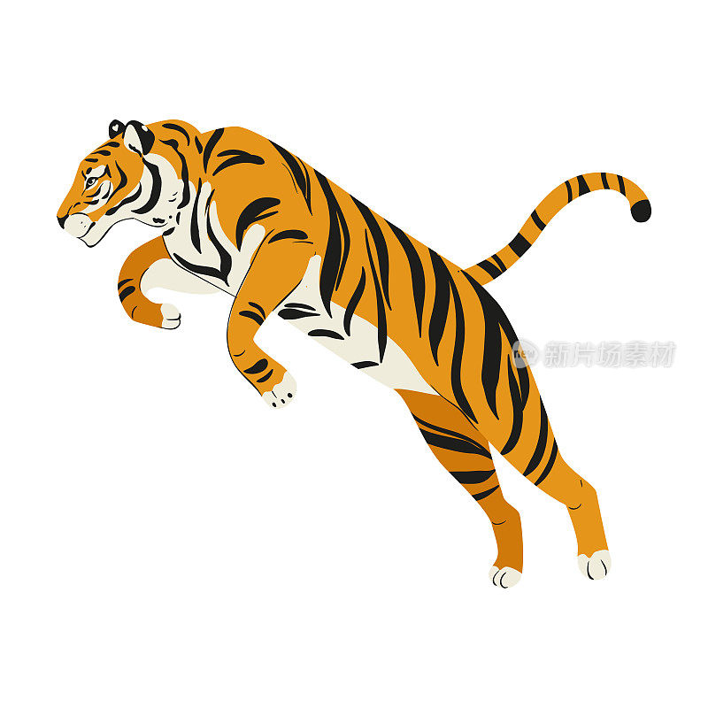 东北虎在白色背景下孤立地跳跃。矢量老虎侧面视图。濒危动物