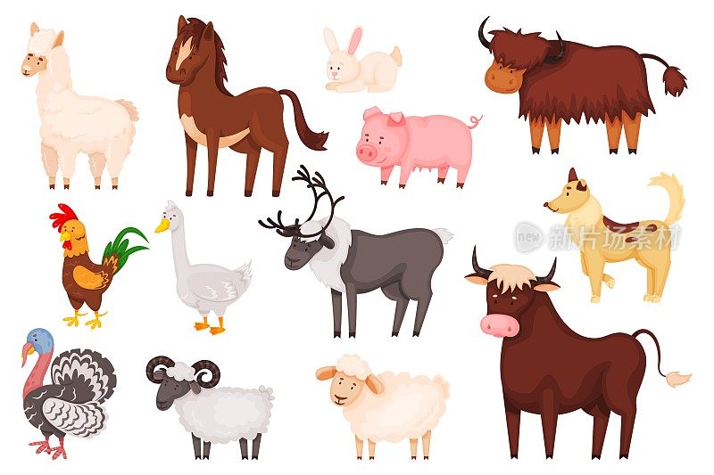 卡通农场动物和小鸟，可爱的家养动物角色。绵羊，山羊，猪，兔子，狗，马，火鸡，家畜养殖向量集