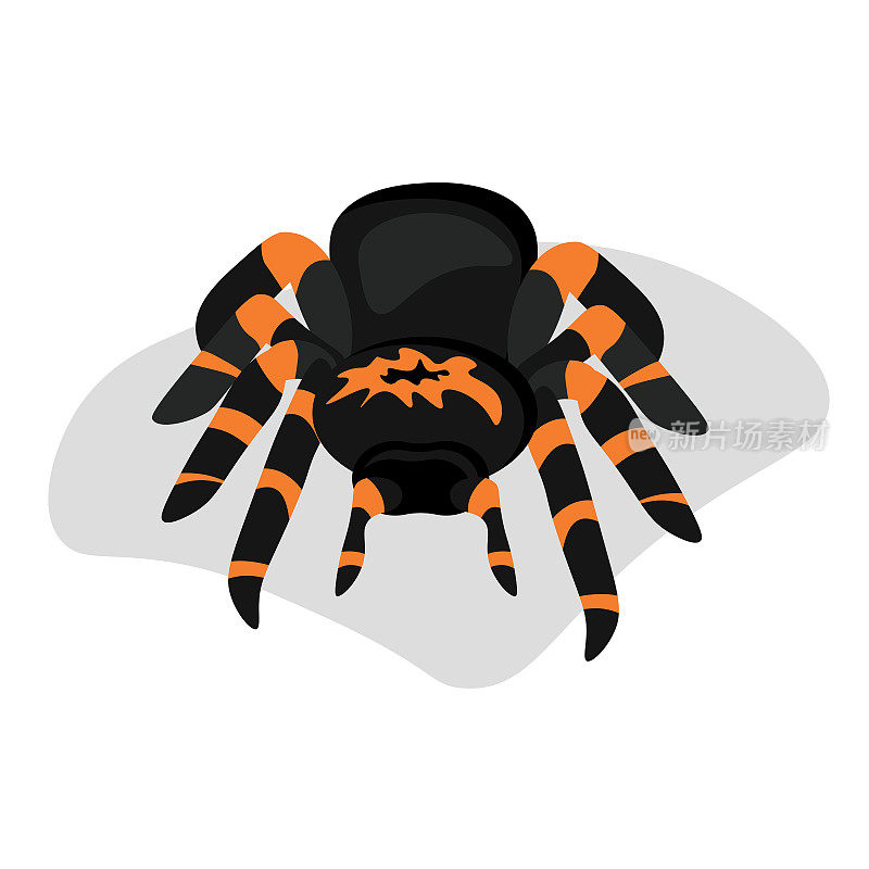 卡通风格的狼蛛，带有亮橙色条纹的深色蛛形纲动物