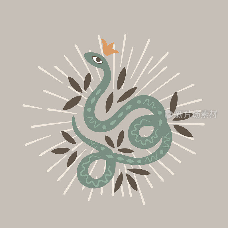 波西米亚蛇插图与树叶和日出