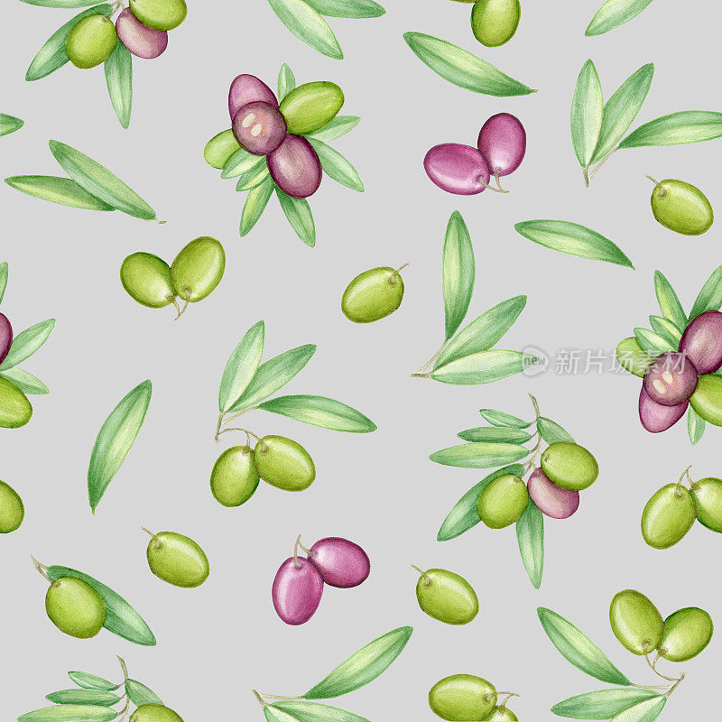 橄榄无缝图案与橄榄枝和水果的意大利菜设计或特级初榨油食品或化妆品包装包装。手绘。水彩。