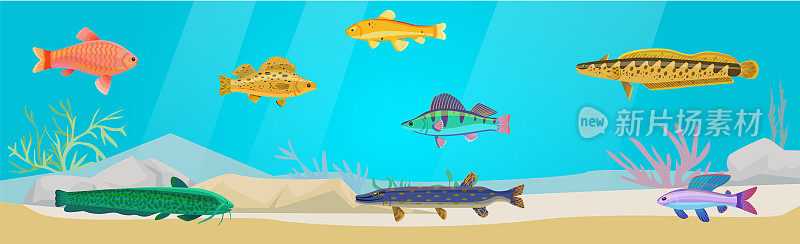 奇异鱼的海底世界。海底有海洋生物，热带鱼