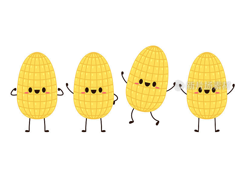 玉米向量。玉米字设计。白底玉米。玉米籽粒向量。