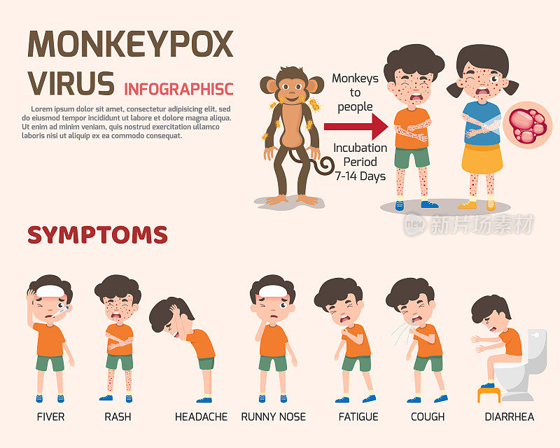 猴痘病毒成分，人体有皮疹。疾病症状，淋巴结肿大，病媒说明。