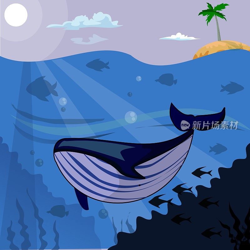 深海中鲸鱼的插图