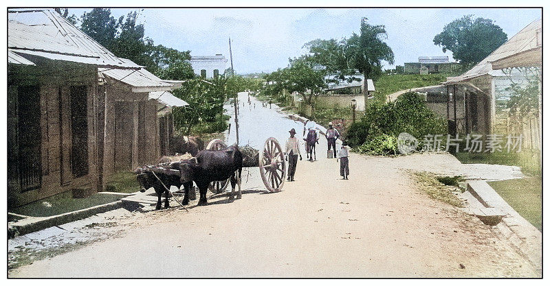 古董黑白照片:波多黎各巴亚蒙