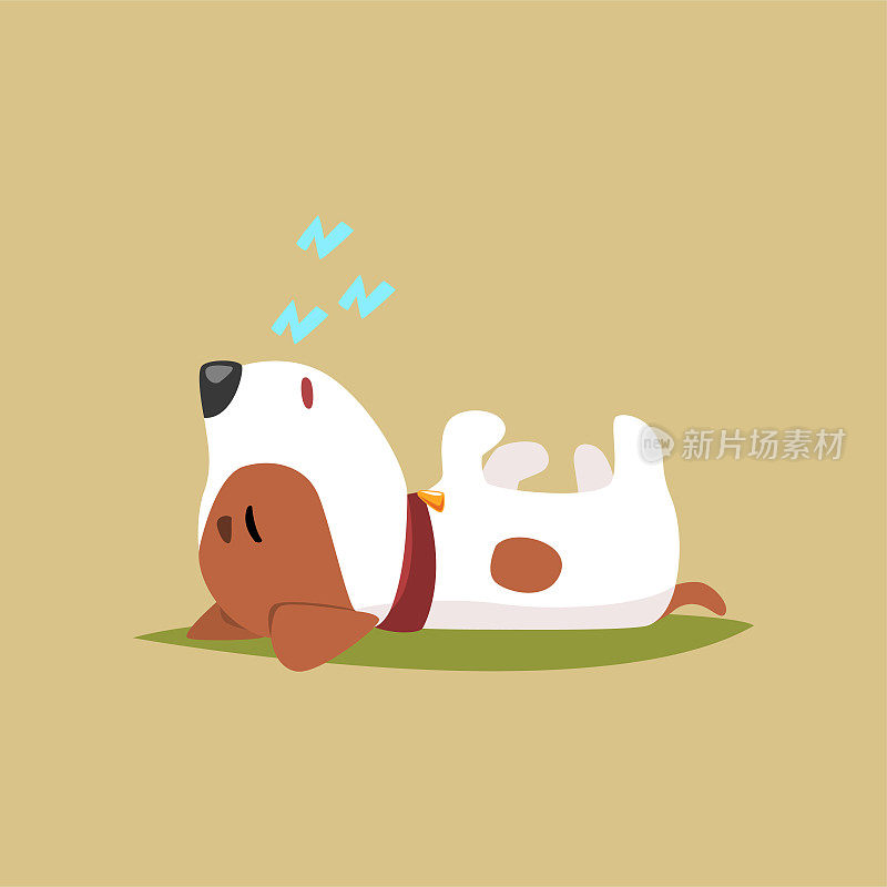 杰克罗素小狗的性格，躺在它的背上，可爱有趣的小猎犬矢量插图