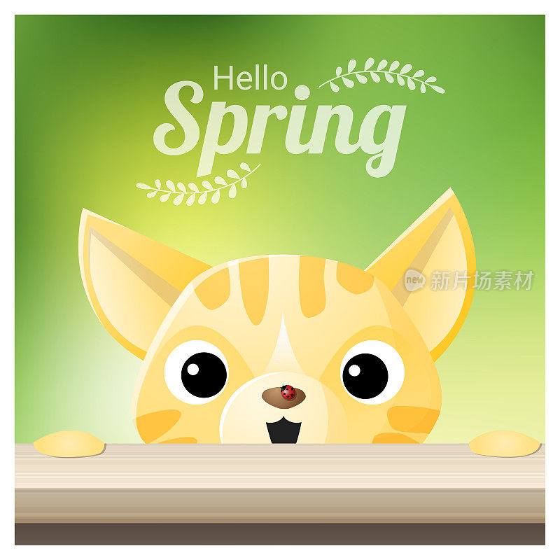 你好春天季节背景与一只猫看一个红色瓢虫，矢量，插图