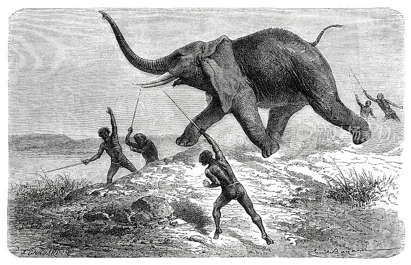 1870年，土著居民在非洲狩猎大象