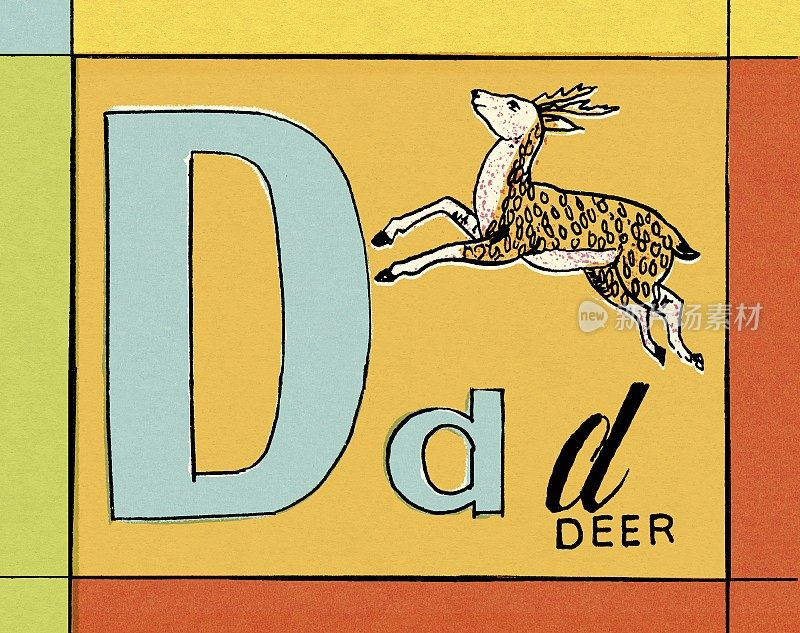 D是鹿