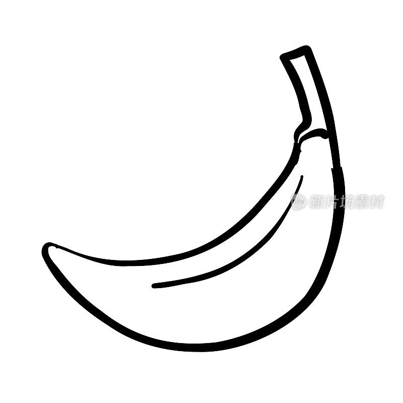 香蕉果实孤立在白色