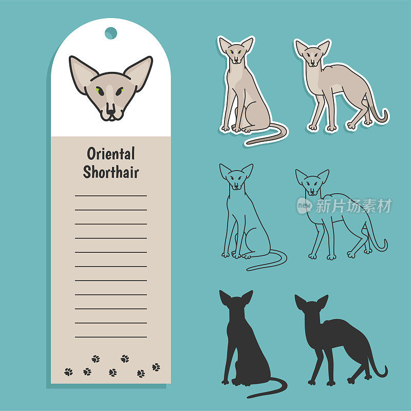东方短毛猫品种。一套贴纸，剪影和轮廓线涂鸦矢量插图谱系宠物。设计带有记录信息字段的标签。