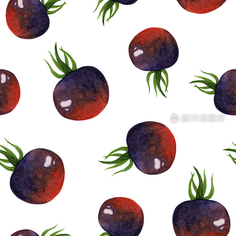 成熟的黑色水彩番茄无缝图案。手绘插图在白色背景。整个多汁的蓝色蔬菜，樱桃。异国情调的园林植物。Clipart菜单，咖啡馆，市场，网络