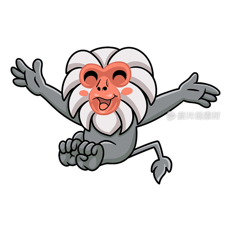 可爱的小hamadryad猴子的卡通姿势