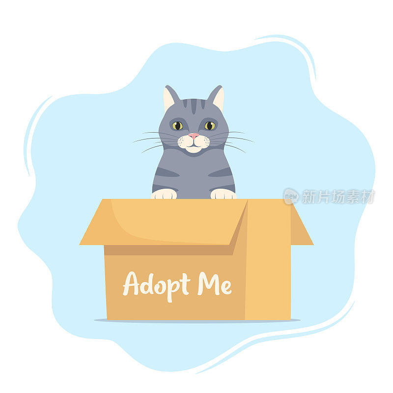 可爱的小猫在纸板箱上，上面写着“收养我”。领养一只宠物。可爱的流浪猫等着被收养。动物收容所海报的矢量插图。