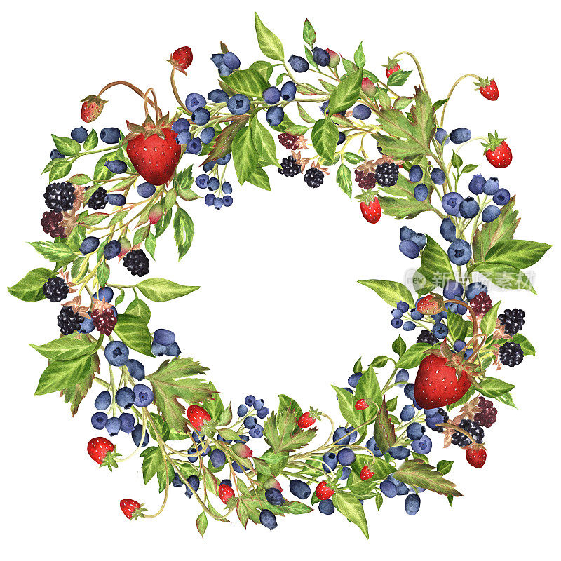 手绘水彩花环与野生浆果。野草莓，蓝莓和黑莓。