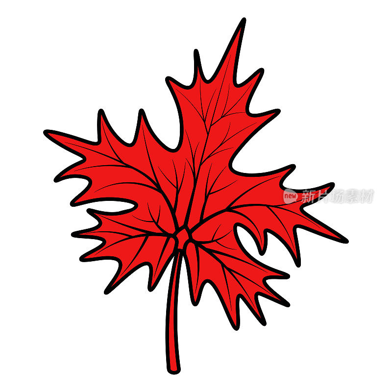 枫叶。加拿大的象征。树的红色部分带有卡通风格的纹路。